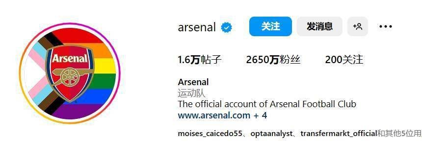 电视剧孤战迷城全集免费观看高清