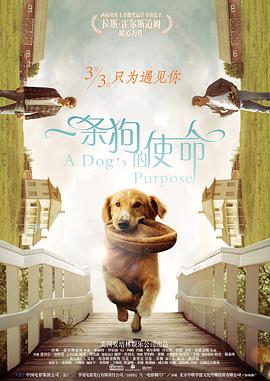 中文字幕av第一页