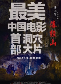 成人a视频在线观看